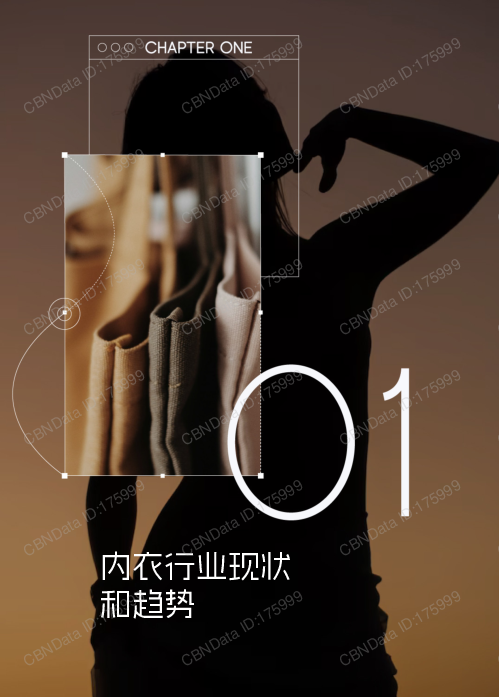 2025科技内衣趋势洞察